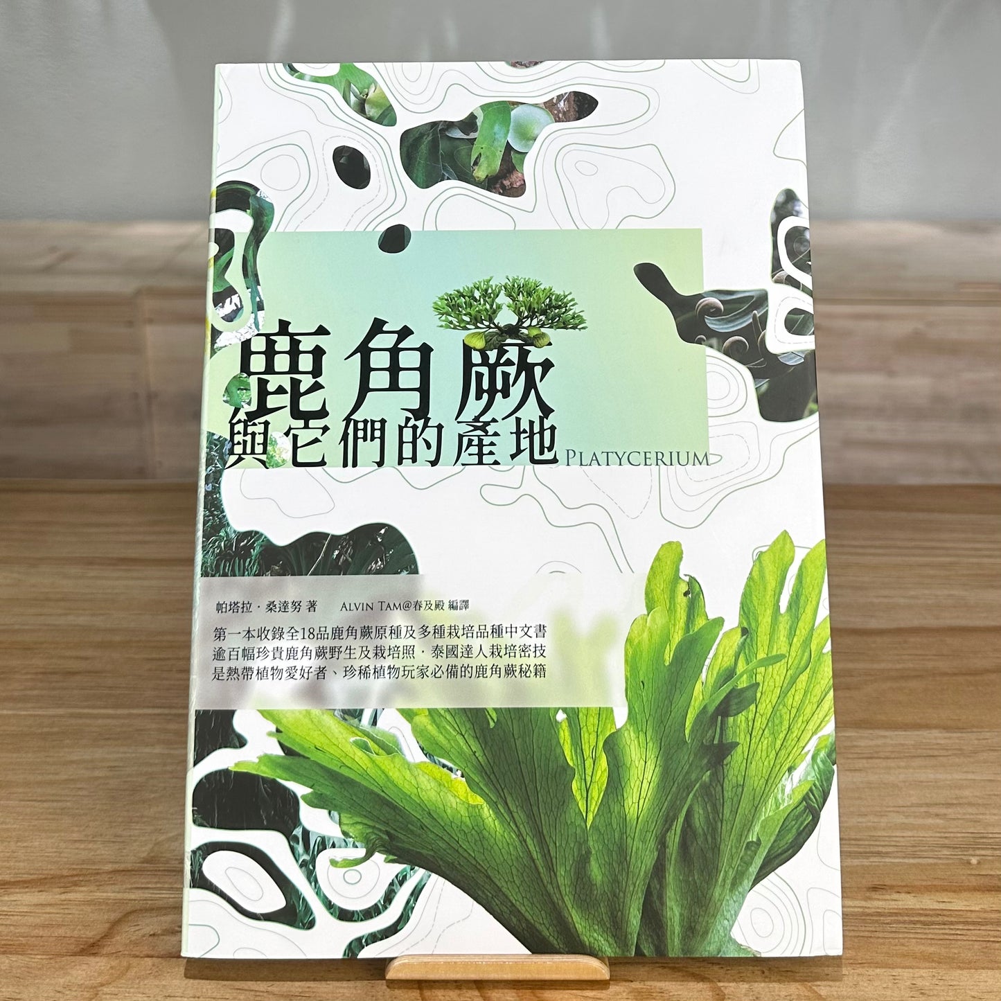 鹿角蕨與它們的產地