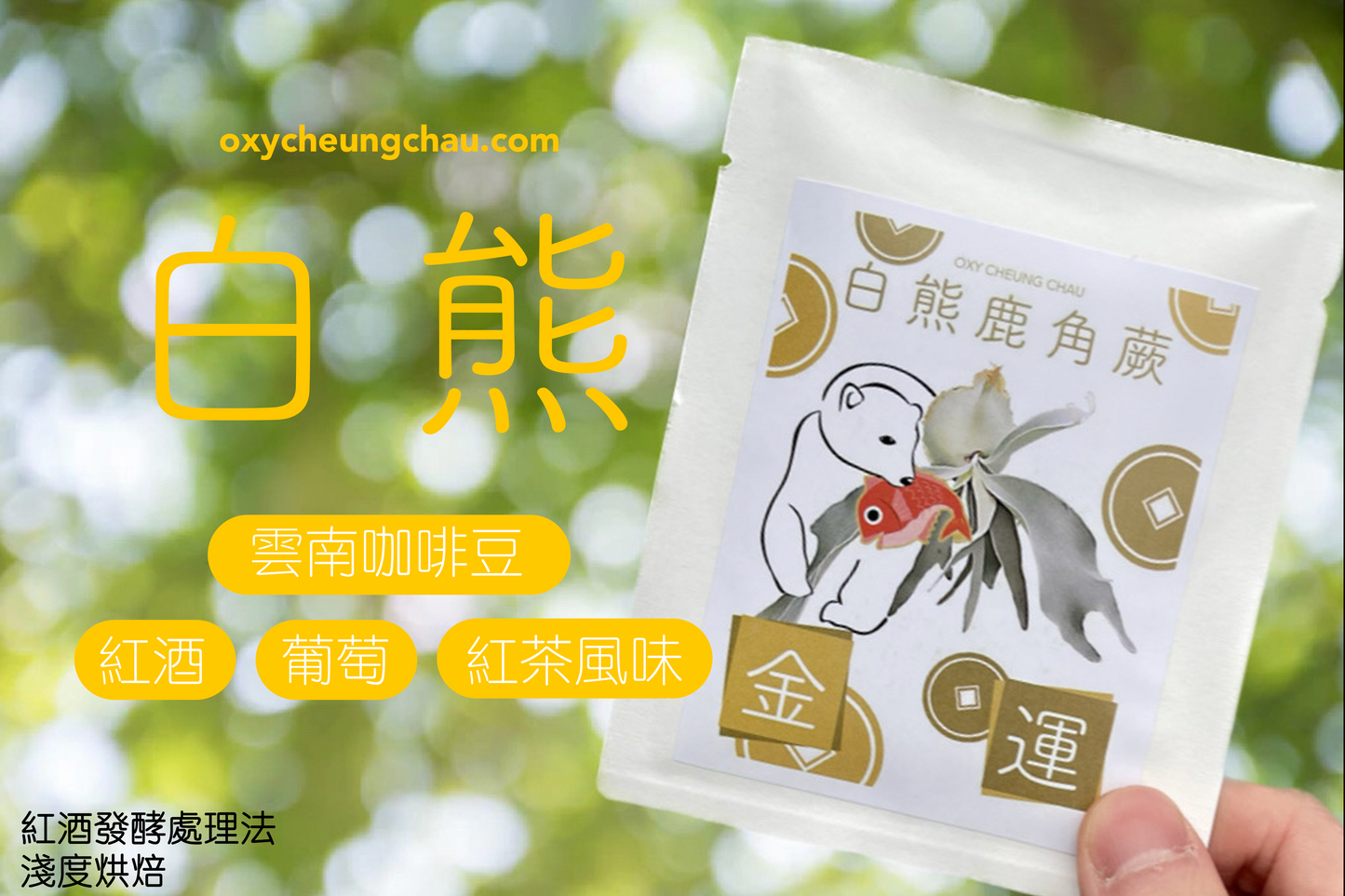 鹿角蕨御守咖啡掛耳包禮盒(8包入)