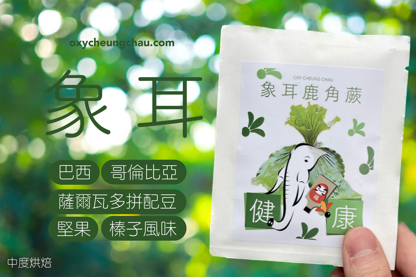 鹿角蕨御守咖啡掛耳包禮盒(8包入)