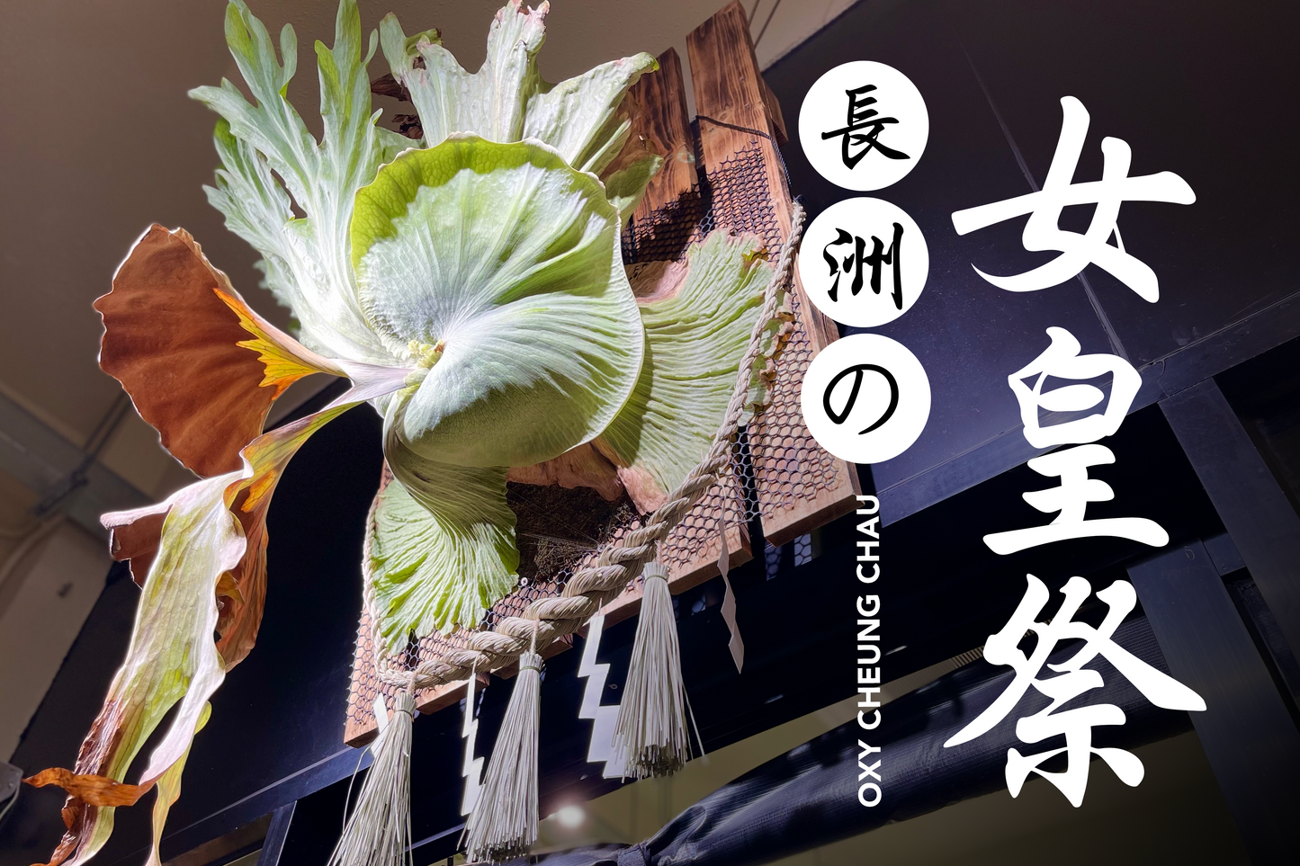 鹿角蕨御守咖啡掛耳包禮盒(8包入)