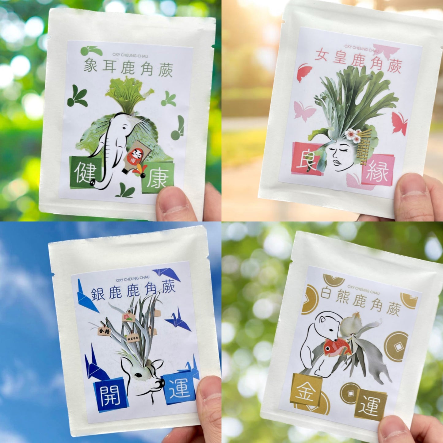 鹿角蕨御守咖啡掛耳包禮盒(8包入)