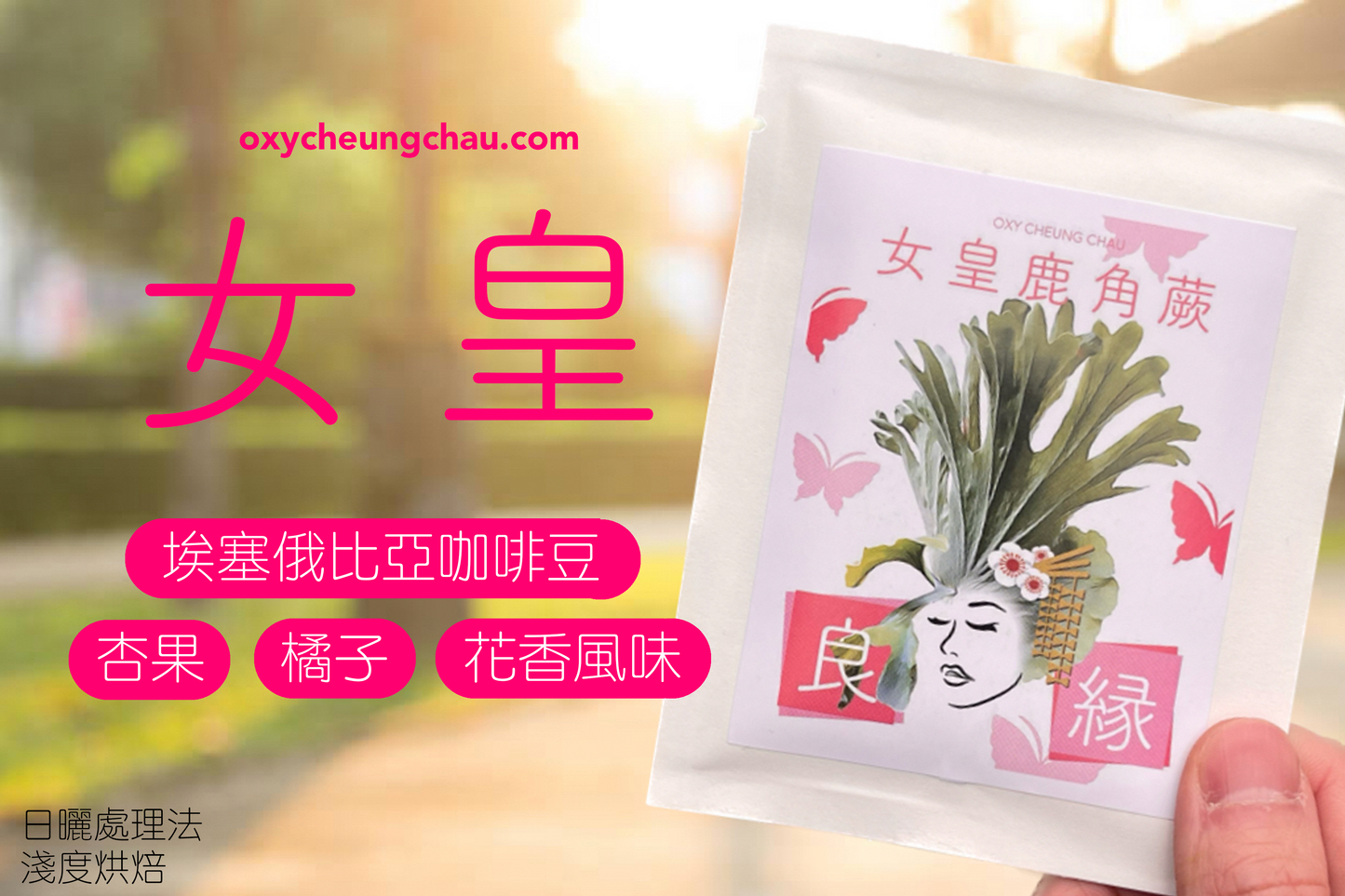 鹿角蕨御守咖啡掛耳包禮盒(8包入)