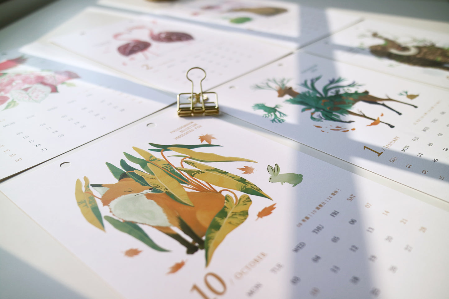 2023珍奇植生物月曆