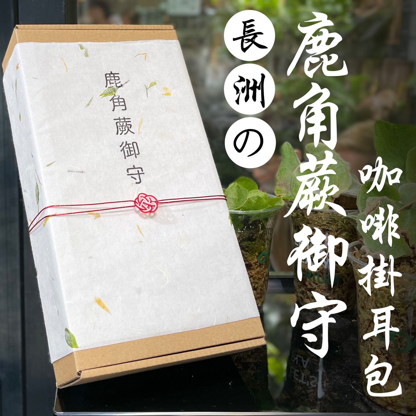 鹿角蕨御守咖啡掛耳包禮盒(8包入)