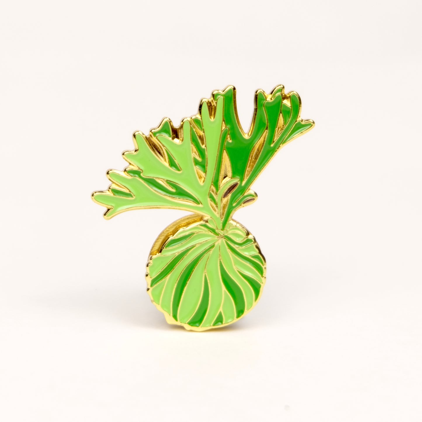 金屬強磁吸鐵 (亞猴鹿角蕨)