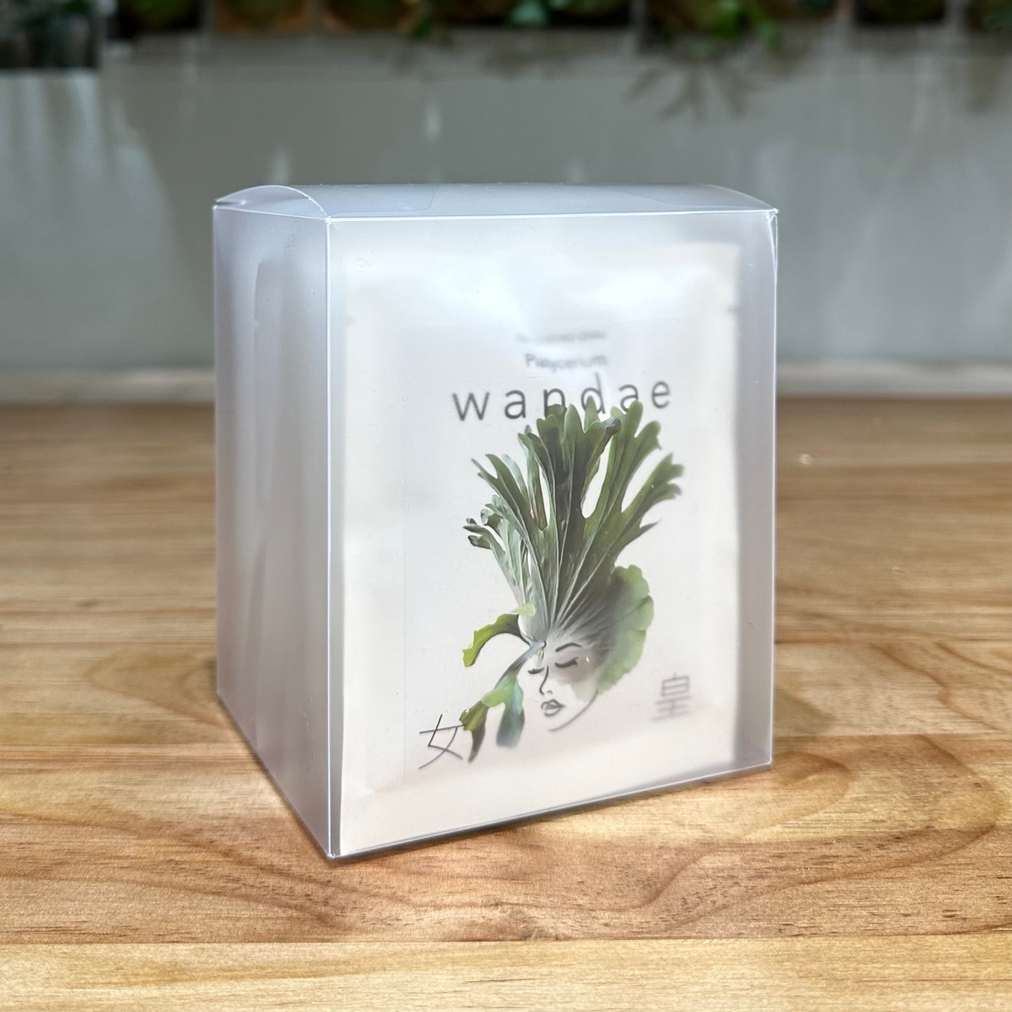 Drip Bag Box (女皇)